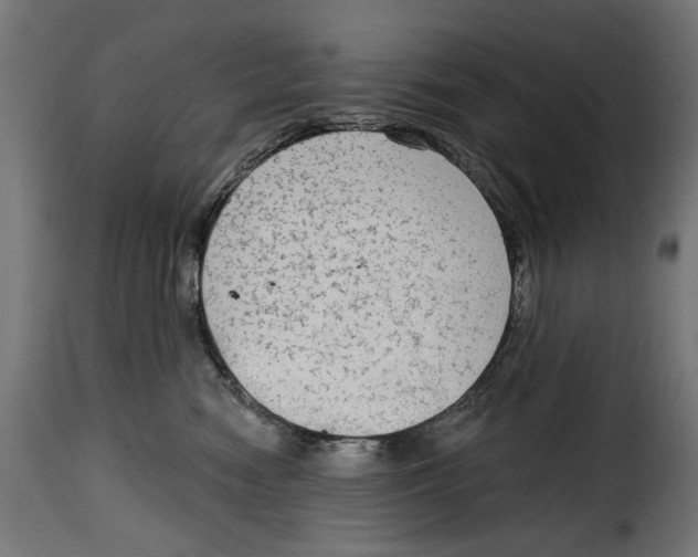 X0000114990474200911231145