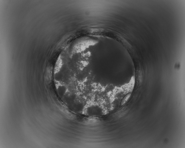 X0000114990475200911231145