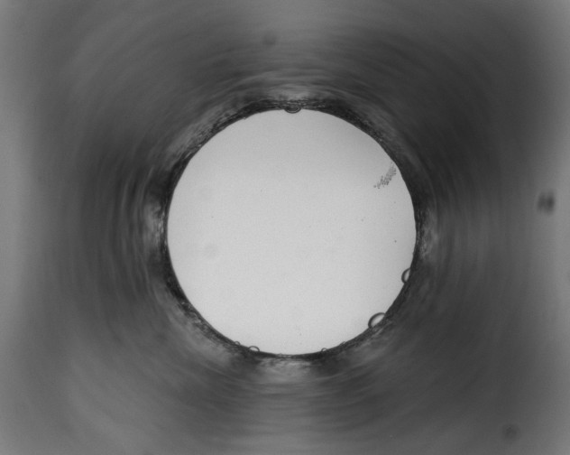 X0000114990476200911231145