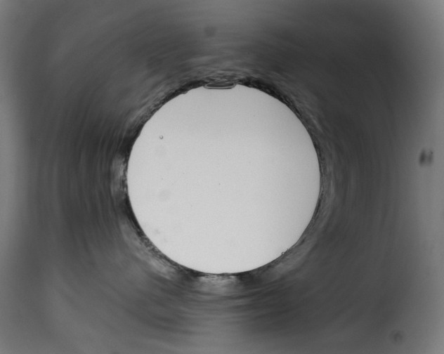 X0000114990480200911231145