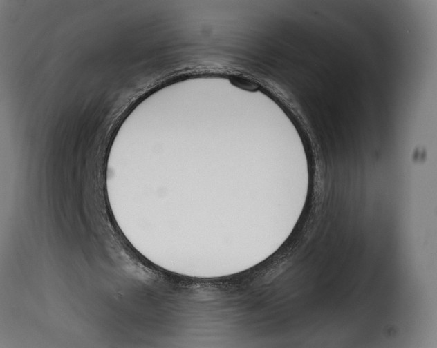 X0000114990481200911231145