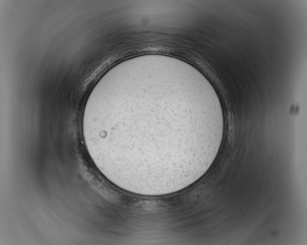 X0000114990482200911231145