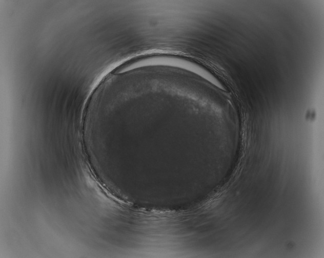 X0000114990484200911231145