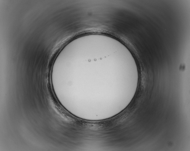 X0000114990486200911231145