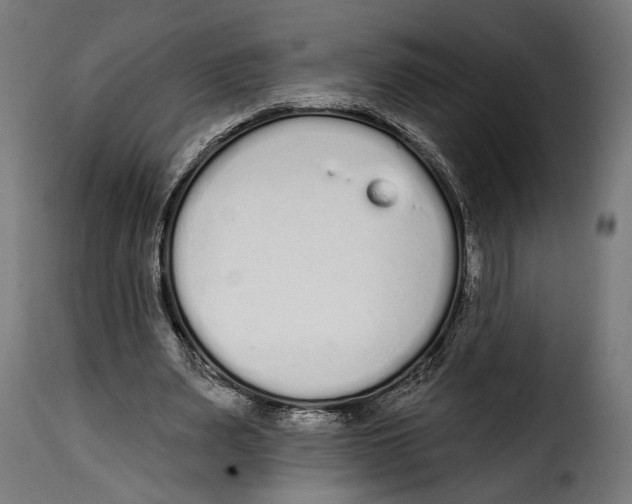 X0000114990487200911231145