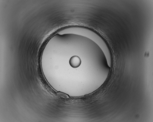 X0000114990488200911231144