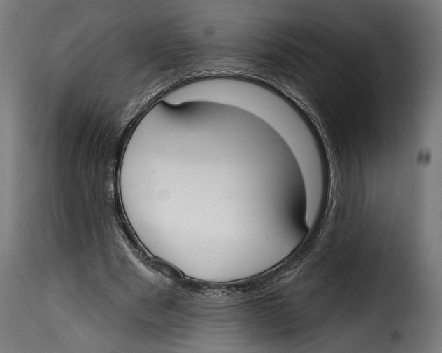 X0000114990489200911231144