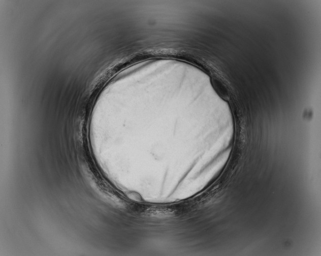 X0000114990491200911231144