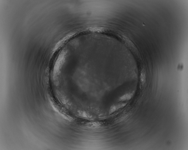 X0000114990492200911231144