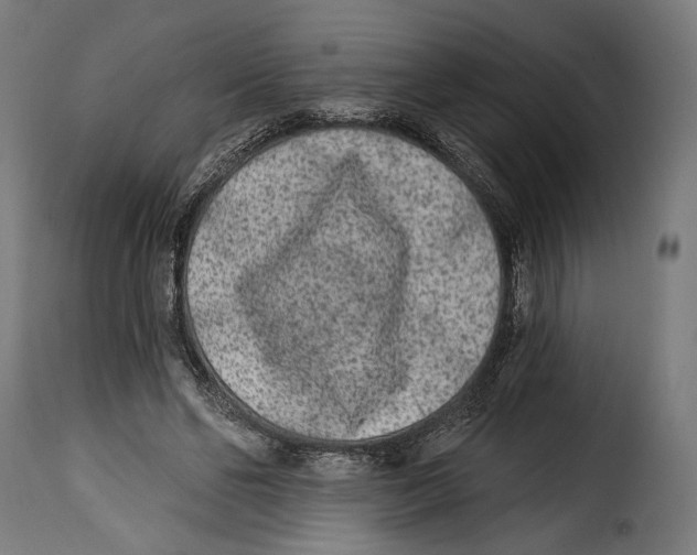 X0000114990494200911231144