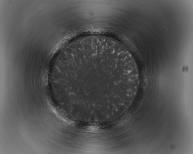 X0000114990496200911231144