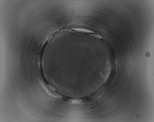 X0000114990500200911231144