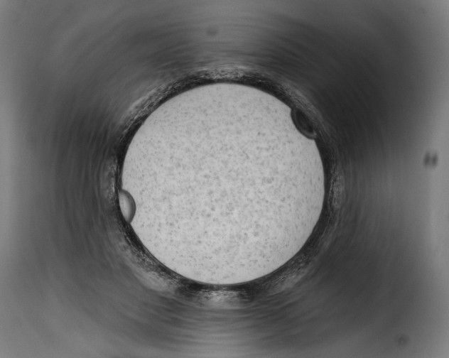 X0000114990501200911231144