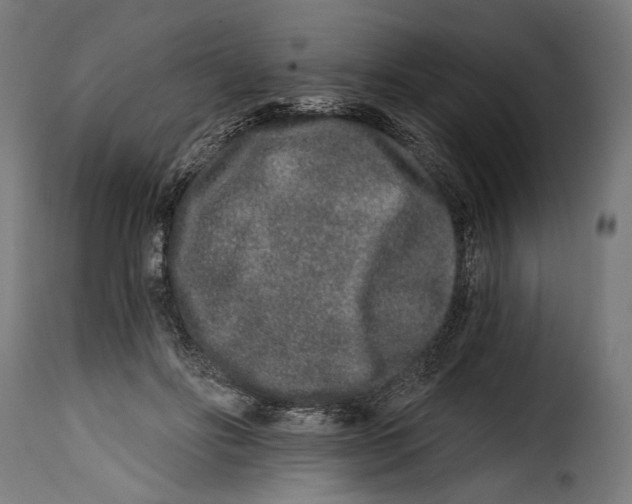 X0000114990502200911231144