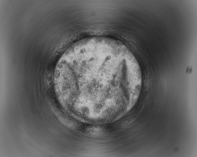 X0000114990503200911231144