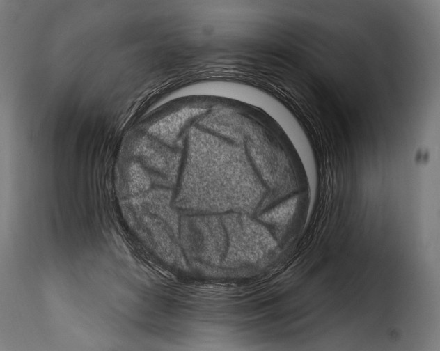 X0000114990504200911231144