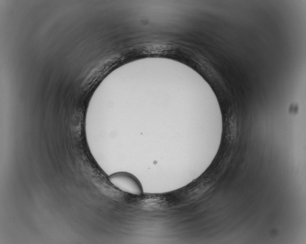 X0000114990505200911231144