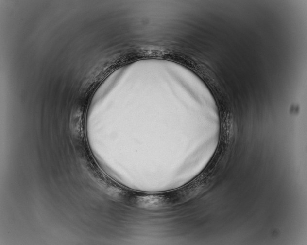 X0000114990511200911231144