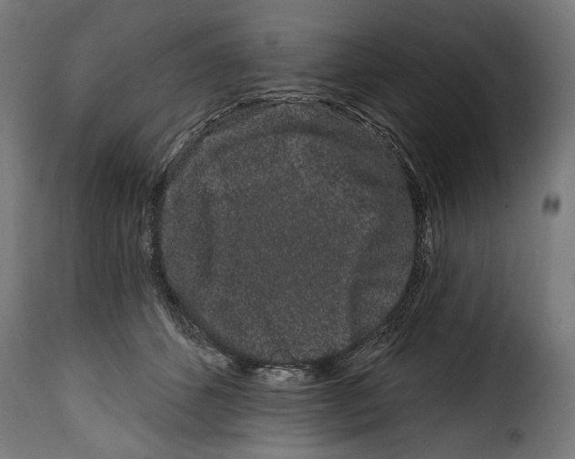 X0000114990512200911231144