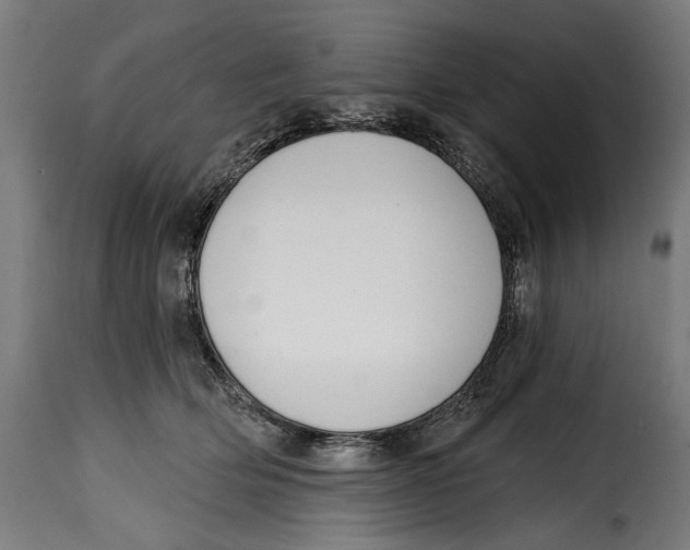 X0000114990514200911231144