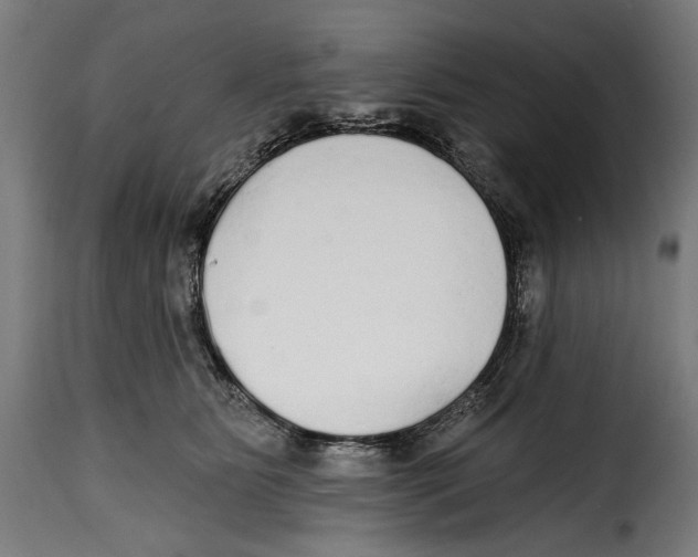 X0000114990515200911231144