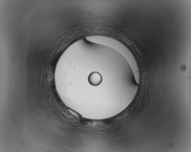 X0000114990517200911231144