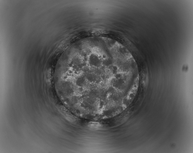 X0000114990519200911231144