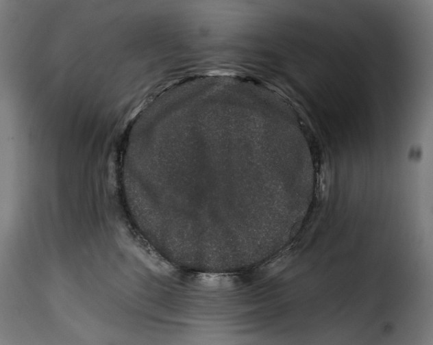 X0000114990520200911231144