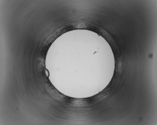 X0000114990521200911231144