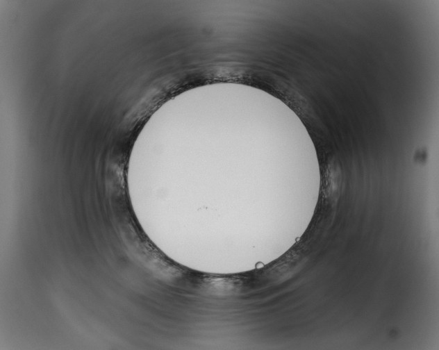 X0000114990522200911231144