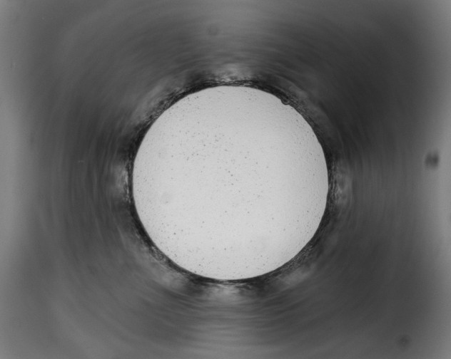 X0000114990523200911231144