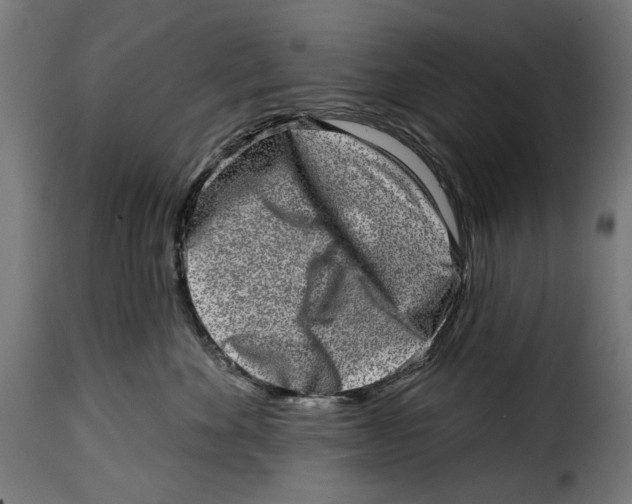 X0000114990524200911231144