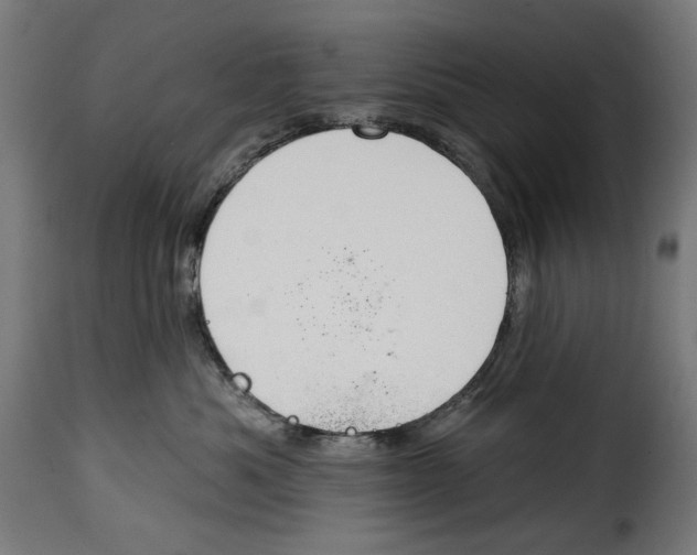 X0000114990525200911231144