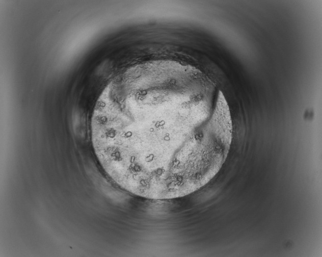 X0000114990527200911231144