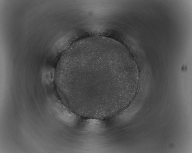 X0000114990528200911231144