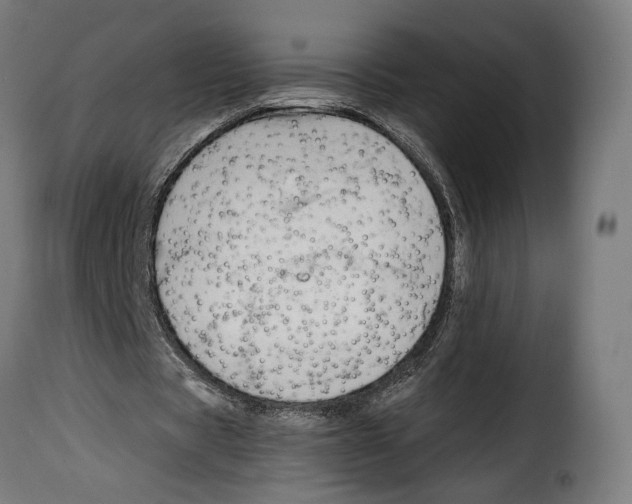 X0000114990529200911231143