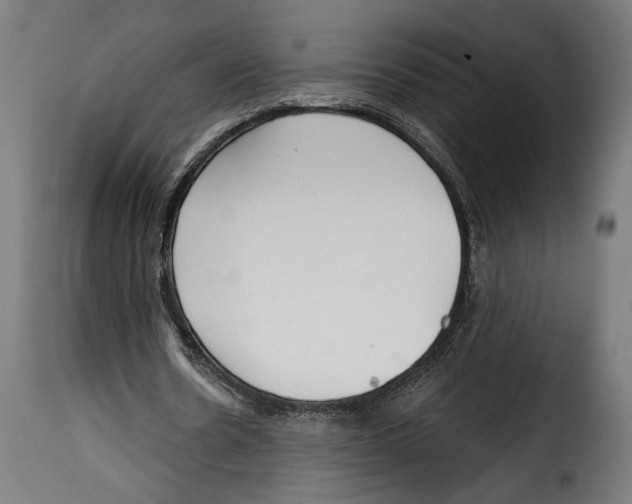 X0000114990530200911231143