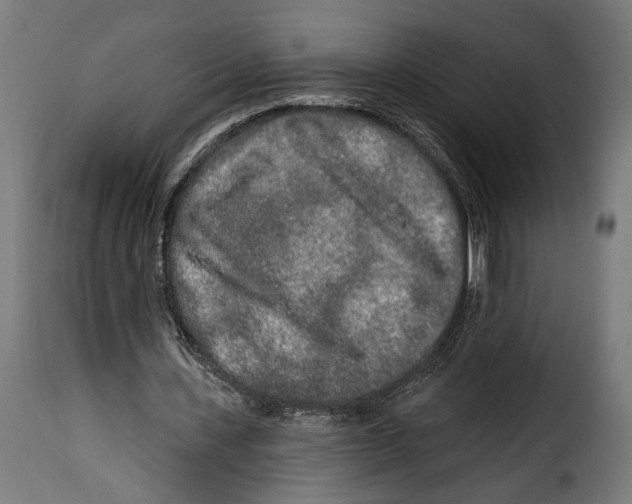 X0000114990531200911231143