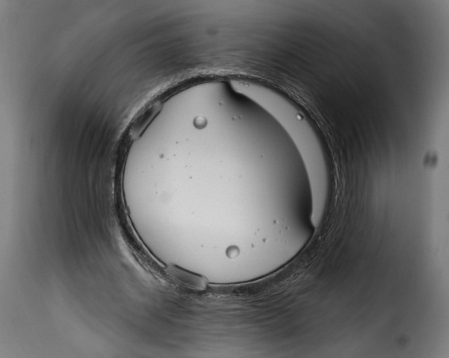 X0000114990534200911231143