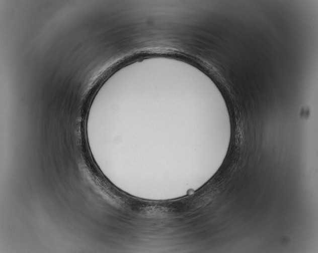 X0000114990535200911231143