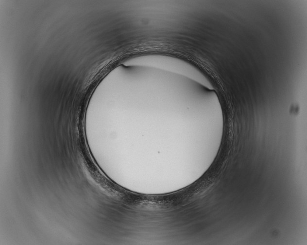 X0000114990538200911231143