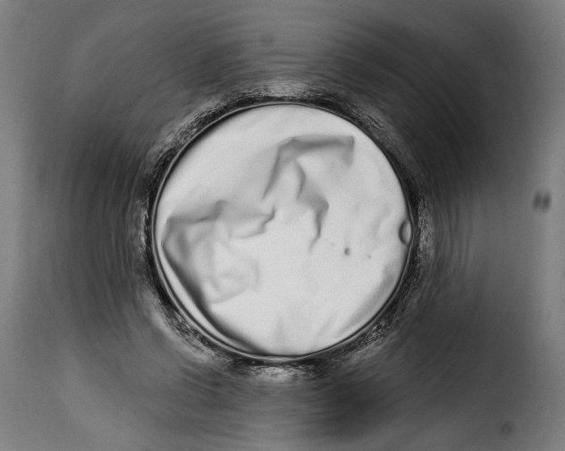 X0000114990542200911231143