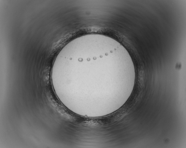 X0000114990545200911231144