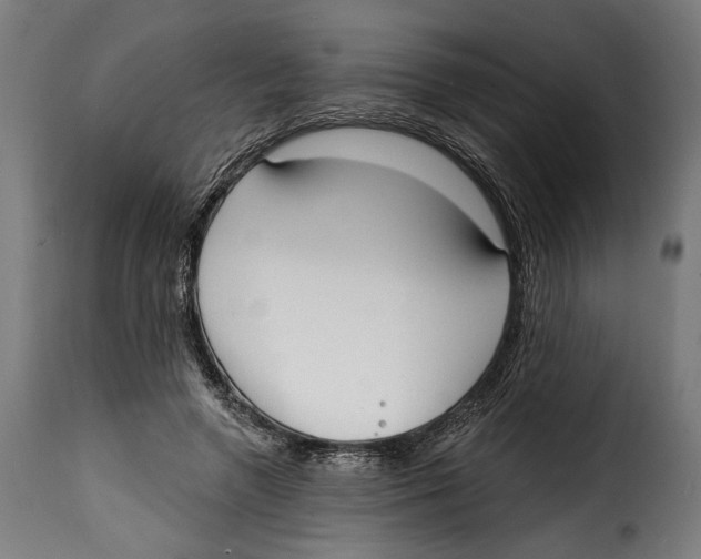 X0000114990546200911231144