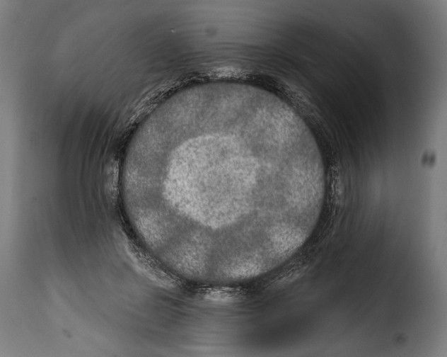 X0000114990550200911231144