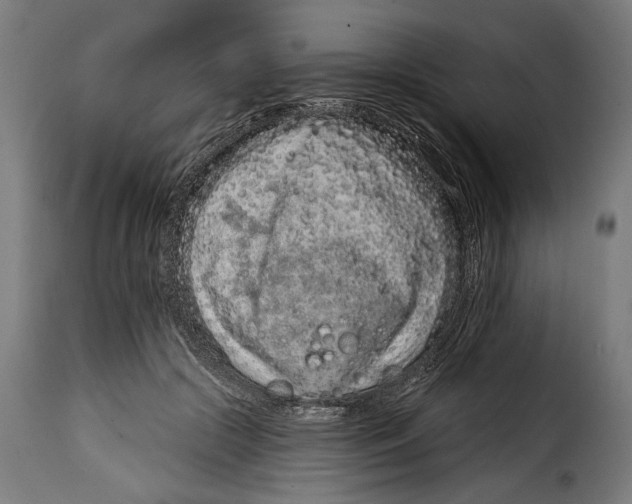 X0000114990553200911231144