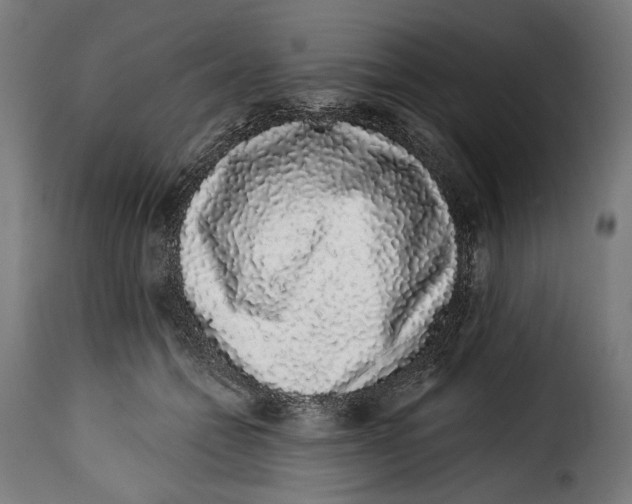 X0000114990558200911231144