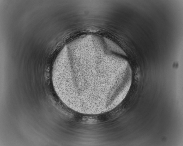 X0000114990559200911231144