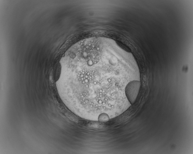 X0000114990561200911231144