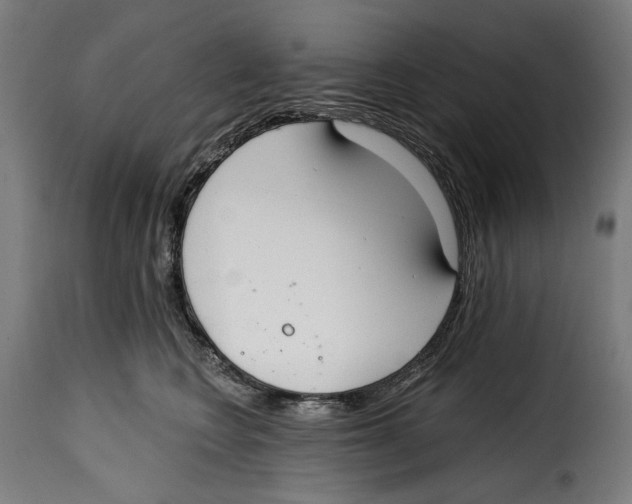 X0000114990566200911231144